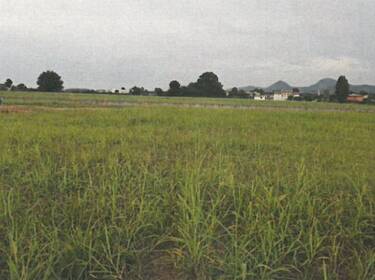 foto principale del terreno