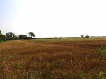 foto principale del terreno