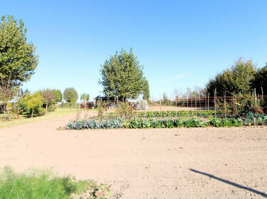 foto principale del terreno