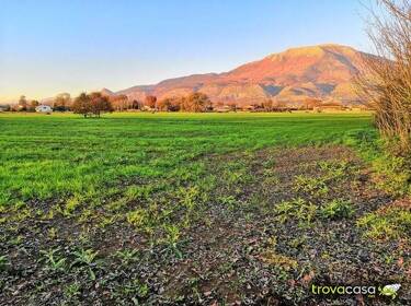 foto principale del terreno