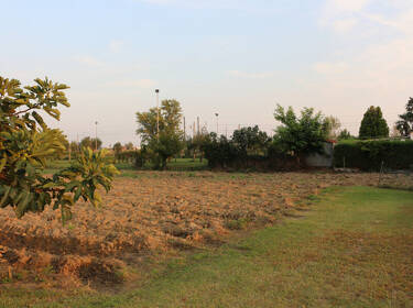 foto principale del terreno