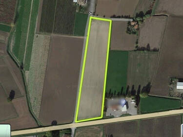 foto principale del terreno