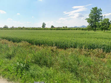 foto principale del terreno