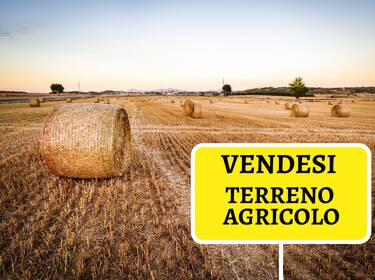 foto principale del terreno