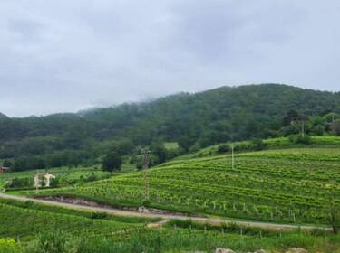 foto principale del terreno