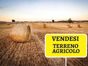 foto principale del terreno