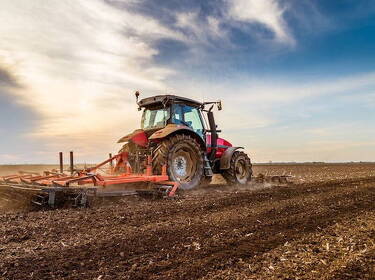 foto principale del terreno