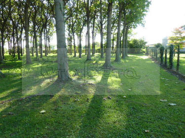 foto principale del terreno