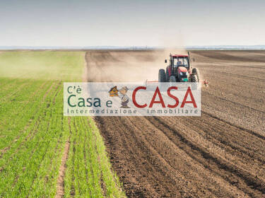 foto principale del terreno