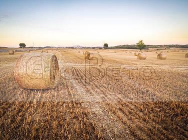 foto principale del terreno