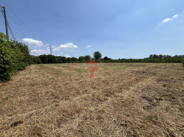 foto principale del terreno