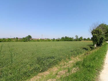 foto principale del terreno