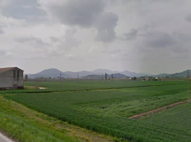 foto principale del terreno