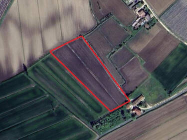 foto principale del terreno