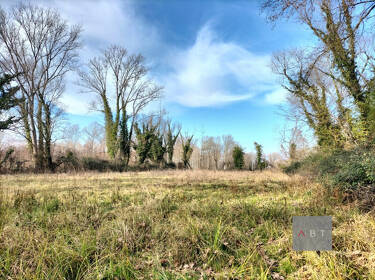 foto principale del terreno