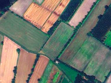 foto principale del terreno