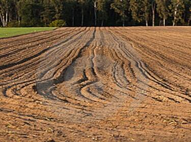 foto principale del terreno