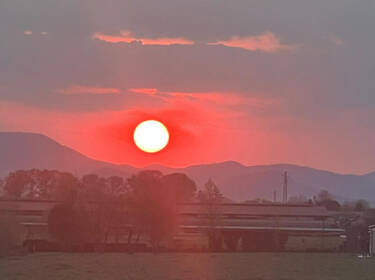 foto principale del terreno