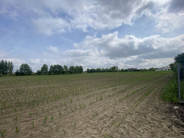 foto principale del terreno