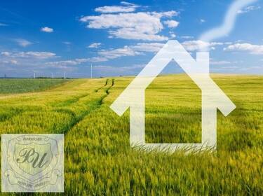 foto principale del terreno