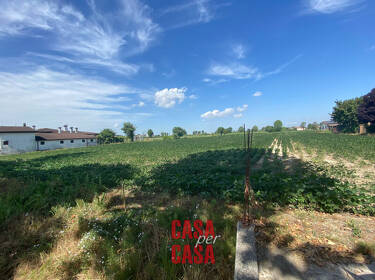 foto principale del terreno