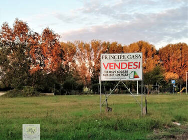 foto principale del terreno