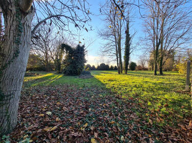 foto principale del terreno