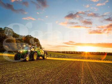 foto principale del terreno