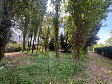 foto principale del terreno