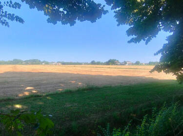 foto principale del terreno