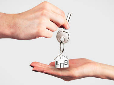 foto principale del terreno