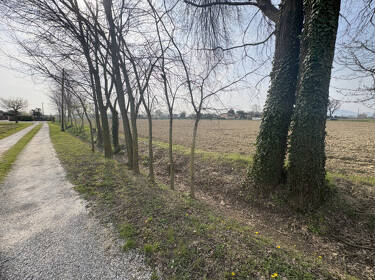 foto principale del terreno