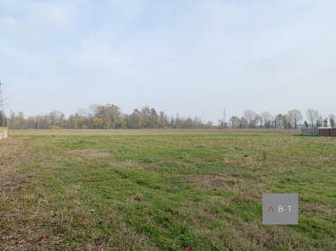 foto principale del terreno