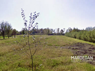 foto principale del terreno