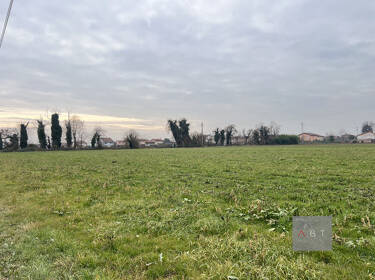 foto principale del terreno