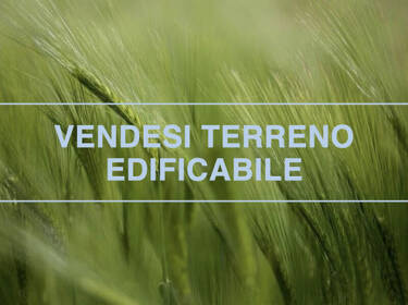 foto principale del terreno