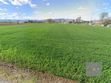 foto principale del terreno