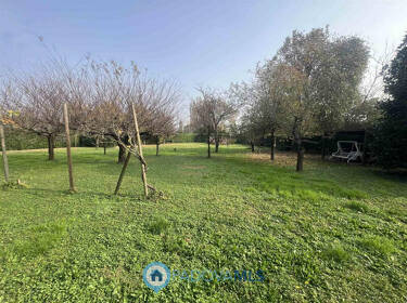 foto principale del terreno
