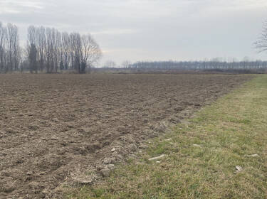 foto principale del terreno