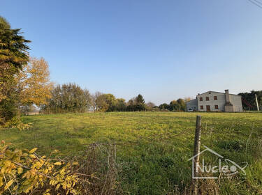 foto principale del terreno