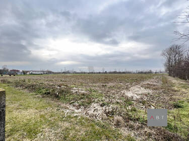 foto principale del terreno