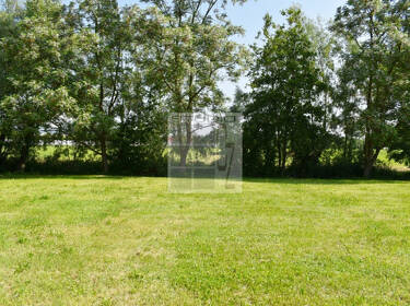 foto principale del terreno