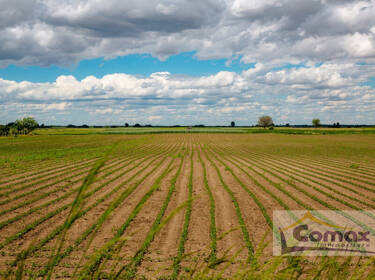 foto principale del terreno
