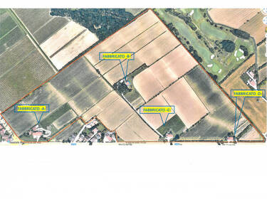 foto principale del terreno