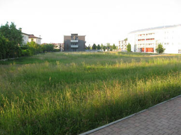 foto principale del terreno