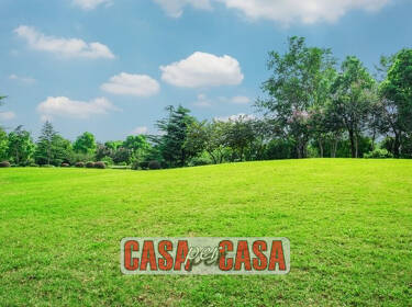 foto principale del terreno