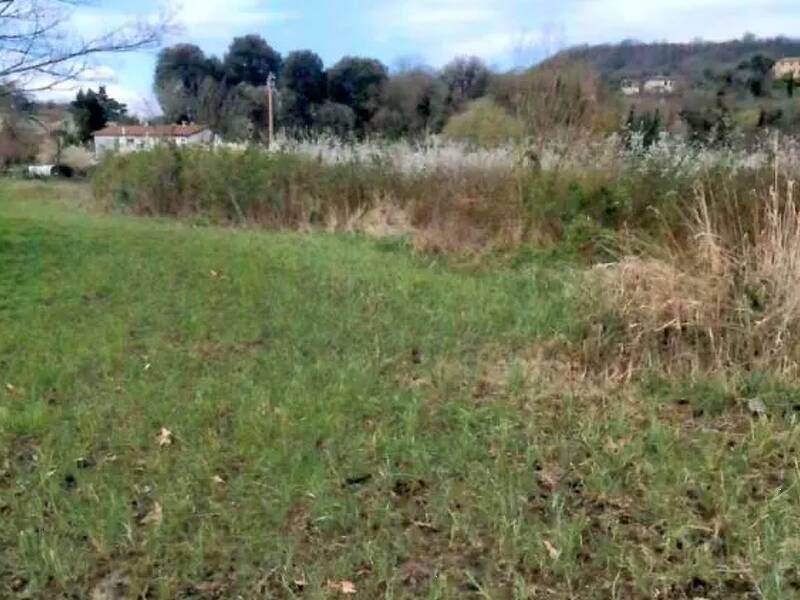 foto principale del terreno