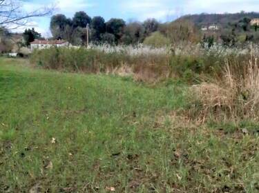 foto principale del terreno