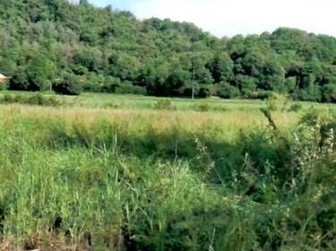 foto principale del terreno