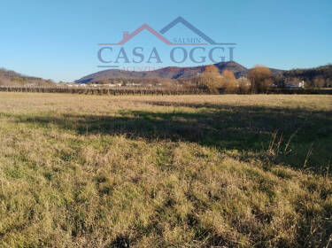 foto principale del terreno